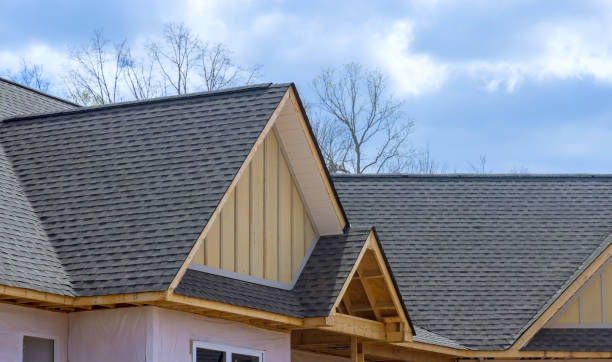 Best Green or Eco-Friendly Roofing Solutions  in Douglas, MI